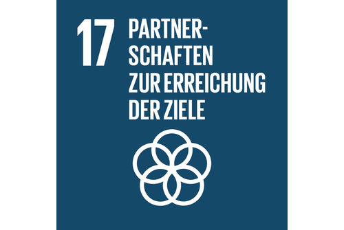 SDG 17