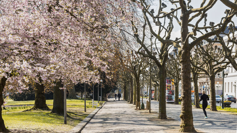 Wilhelmstraße Wiesbaden