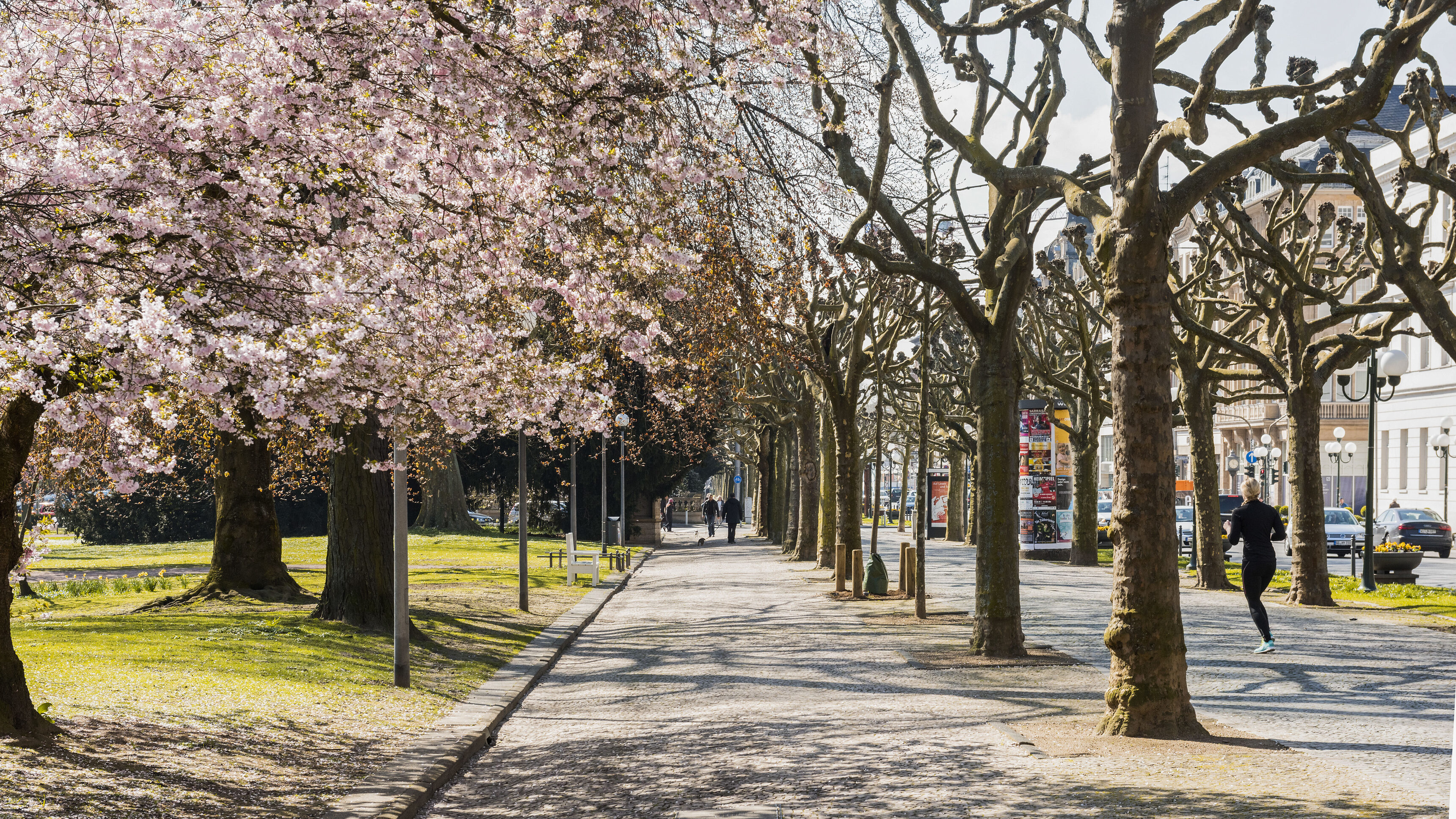 Wilhelmstraße Wiesbaden